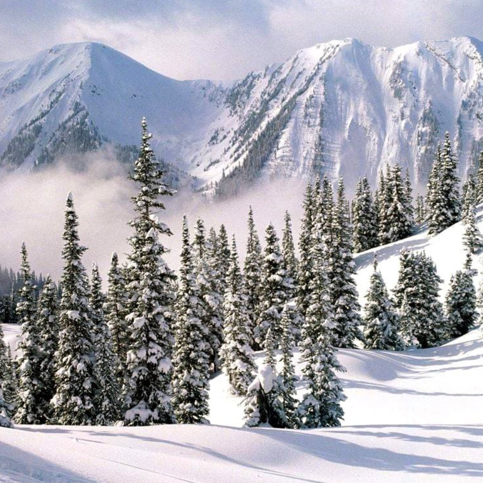 Uludağ’ın Keyfi Contact İle Çıkar